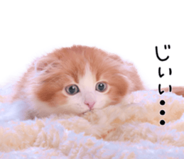 Qoo-chan1 sticker #13765549