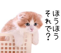 Qoo-chan1 sticker #13765551