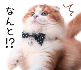 Qoo-chan1 sticker #13765552