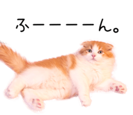 Qoo-chan1 sticker #13765553