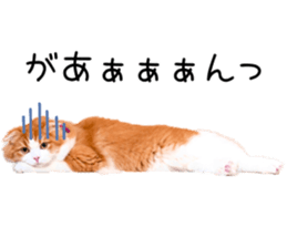 Qoo-chan1 sticker #13765554