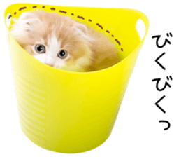 Qoo-chan1 sticker #13765555