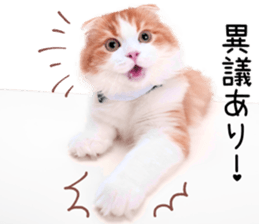 Qoo-chan1 sticker #13765558