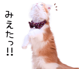 Qoo-chan1 sticker #13765559