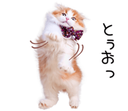 Qoo-chan1 sticker #13765560