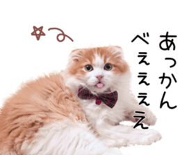 Qoo-chan1 sticker #13765561