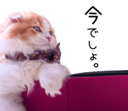 Qoo-chan1 sticker #13765562