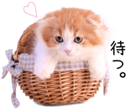 Qoo-chan1 sticker #13765563