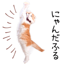 Qoo-chan1 sticker #13765564