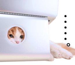 Qoo-chan1 sticker #13765566