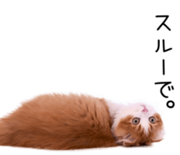 Qoo-chan1 sticker #13765567