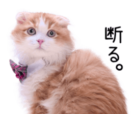 Qoo-chan1 sticker #13765568