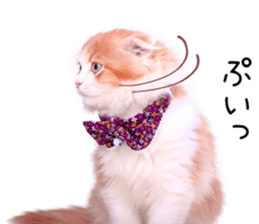 Qoo-chan1 sticker #13765569