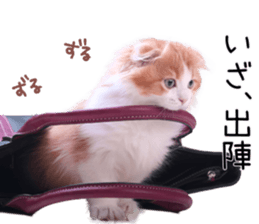 Qoo-chan1 sticker #13765570