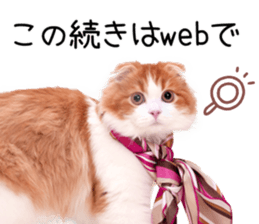 Qoo-chan1 sticker #13765571