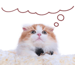 Qoo-chan1 sticker #13765572