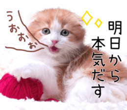 Qoo-chan1 sticker #13765573