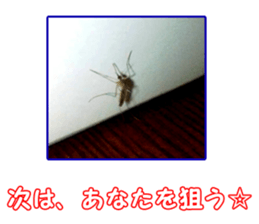 my photo.003 sticker #13766744