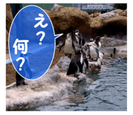 my photo.003 sticker #13766749