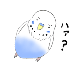 Parakeets lovely gesture stickers sticker #13766830