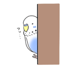 Parakeets lovely gesture stickers sticker #13766837