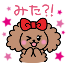 Cute!TeacupPoodle sticker #13766932