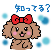 Cute!TeacupPoodle sticker #13766937