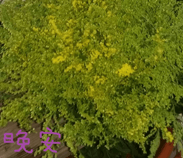 Nature Scenery Record Photo sticker #13768271