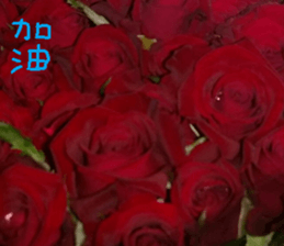 Nature Scenery Record Photo sticker #13768272