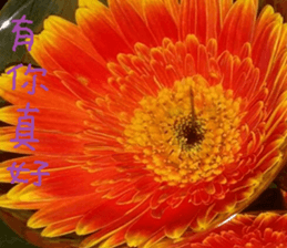 Nature Scenery Record Photo sticker #13768273