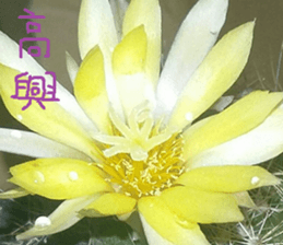 Nature Scenery Record Photo sticker #13768274