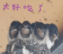 Nature Scenery Record Photo sticker #13768275