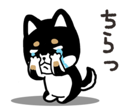 Negative black Shiba 2 sticker #13771538