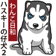 Wanko-Biyori Puppy of Siberian husky 2