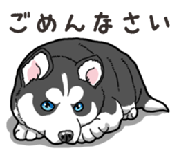 Wanko-Biyori Puppy of Siberian husky 2 sticker #13771938