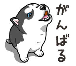 Wanko-Biyori Puppy of Siberian husky 2 sticker #13771942