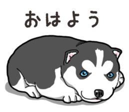 Wanko-Biyori Puppy of Siberian husky 2 sticker #13771946