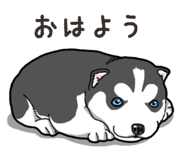 Wanko-Biyori Puppy of Siberian husky 2 sticker #13771946