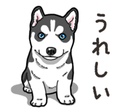 Wanko-Biyori Puppy of Siberian husky 2 sticker #13771950
