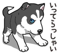 Wanko-Biyori Puppy of Siberian husky 2 sticker #13771952