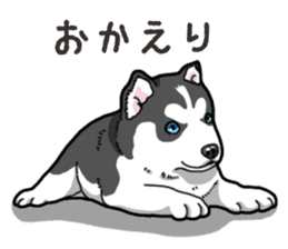 Wanko-Biyori Puppy of Siberian husky 2 sticker #13771953