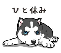 Wanko-Biyori Puppy of Siberian husky 2 sticker #13771954