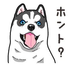 Wanko-Biyori Puppy of Siberian husky 2 sticker #13771955