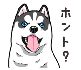 Wanko-Biyori Puppy of Siberian husky 2 sticker #13771955