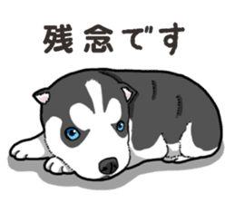 Wanko-Biyori Puppy of Siberian husky 2 sticker #13771957