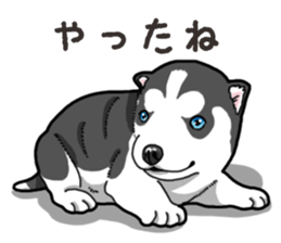 Wanko-Biyori Puppy of Siberian husky 2 sticker #13771958