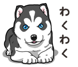 Wanko-Biyori Puppy of Siberian husky 2 sticker #13771964