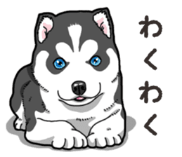 Wanko-Biyori Puppy of Siberian husky 2 sticker #13771964