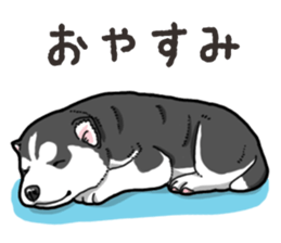 Wanko-Biyori Puppy of Siberian husky 2 sticker #13771965