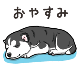 Wanko-Biyori Puppy of Siberian husky 2 sticker #13771965